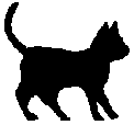 Cat 031