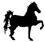 Horse 032