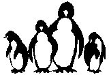Penguins 011
