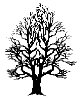 Tree 017